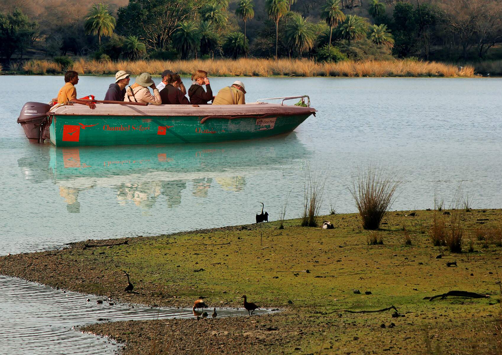 Chambal Safari Option 4